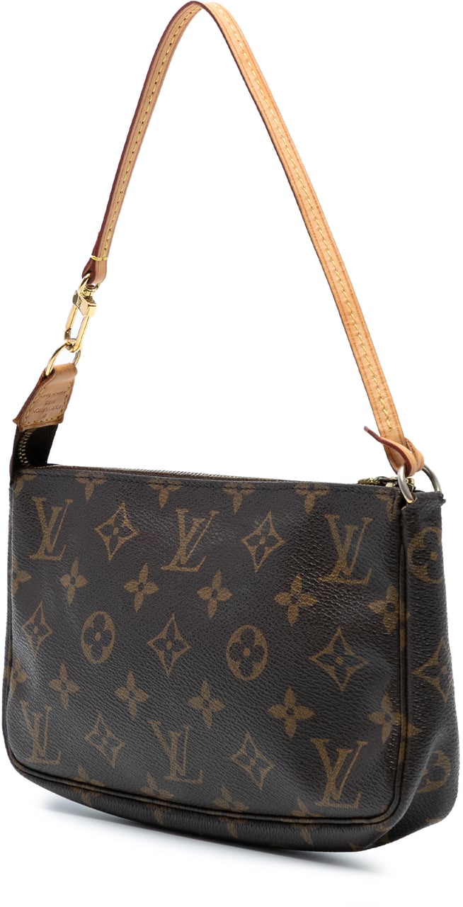 Louis Vuitton Monogram Pochette Accessoires Bruin