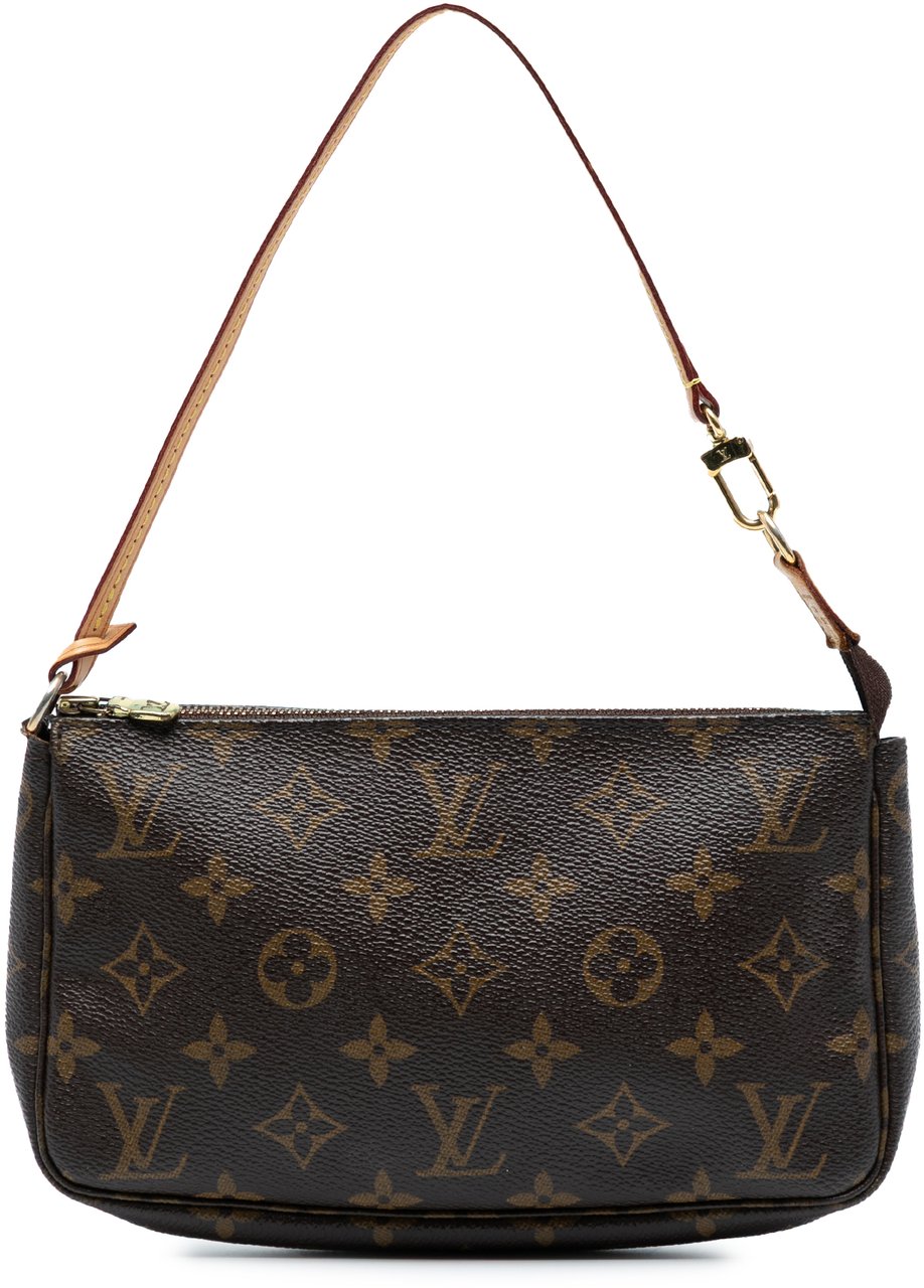 Louis Vuitton Monogram Pochette Accessoires Bruin
