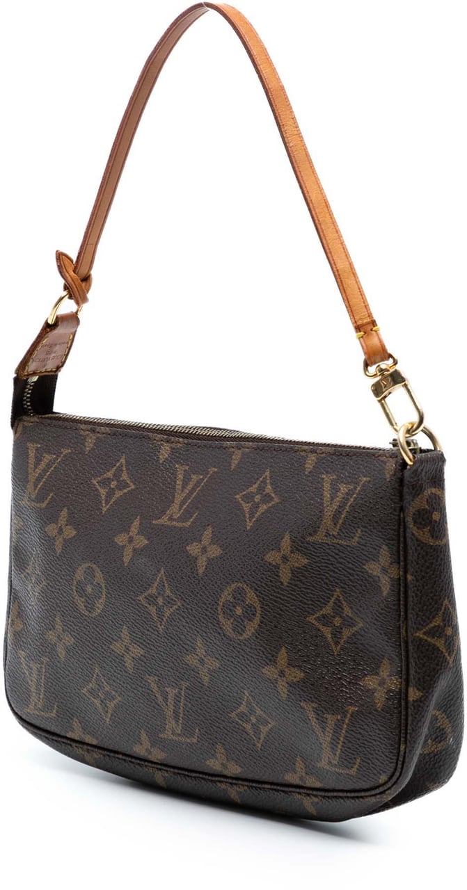 Louis Vuitton Monogram Pochette Accessoires Bruin