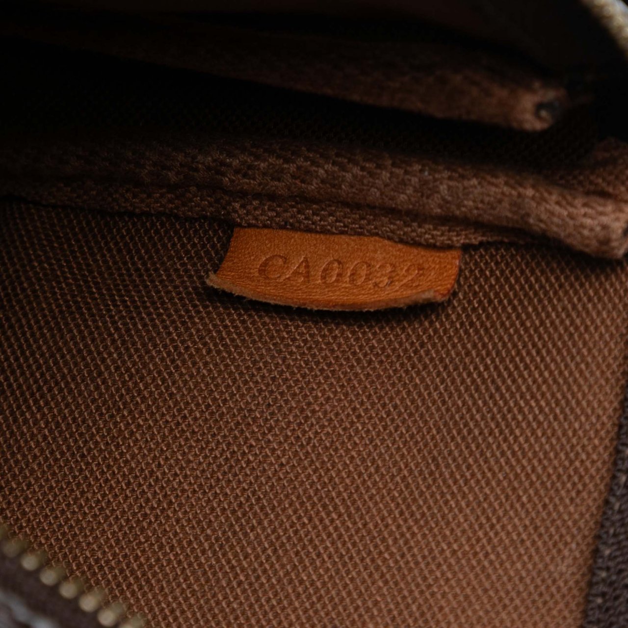 Louis Vuitton Monogram Pochette Accessoires Bruin