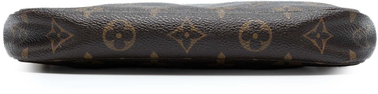 Louis Vuitton Monogram Pochette Accessoires Bruin