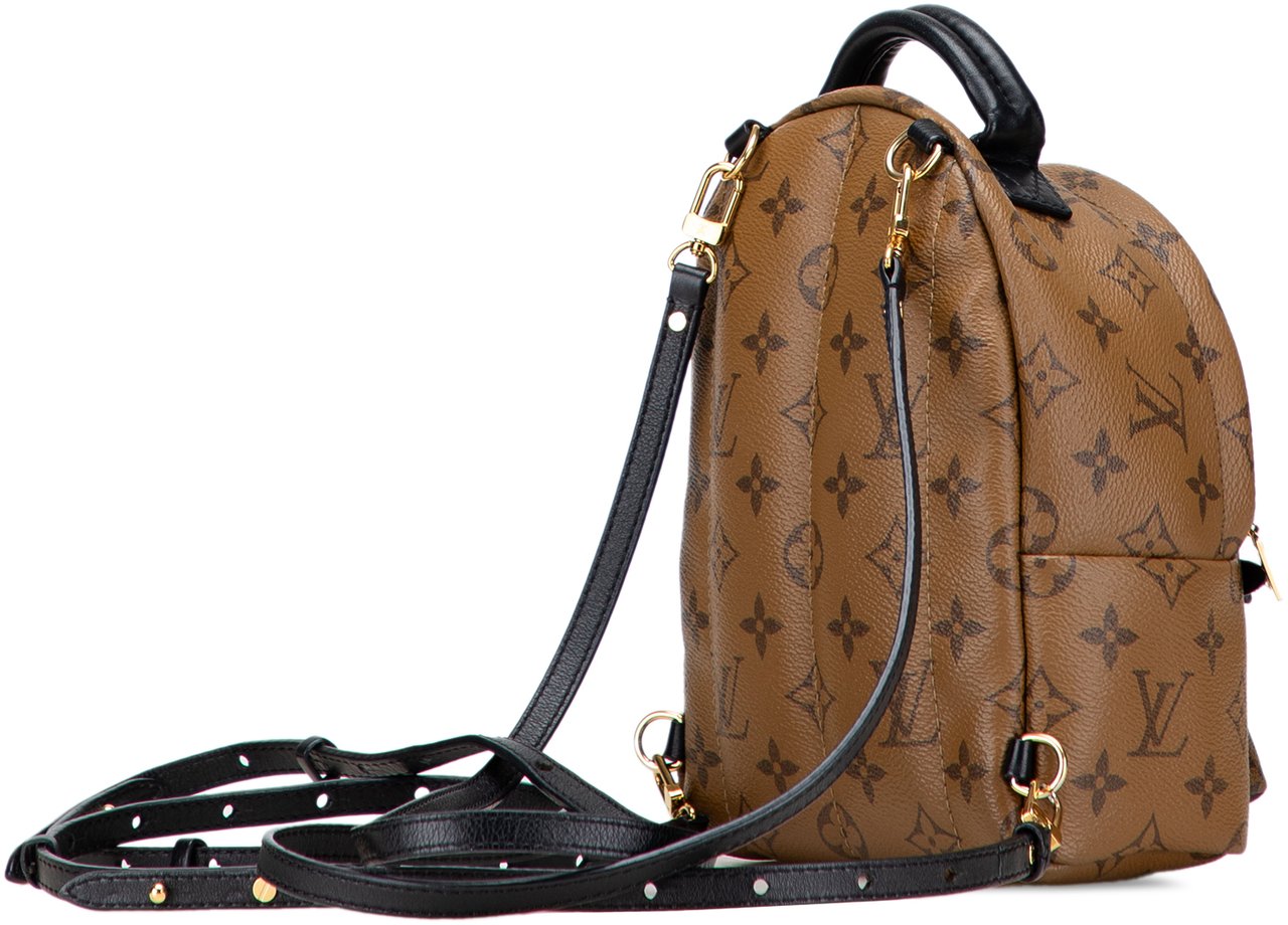Louis Vuitton Monogram Reverse Mini Palm Springs Bruin