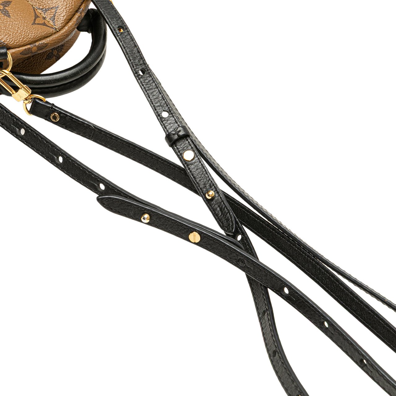 Louis Vuitton Monogram Reverse Mini Palm Springs Bruin