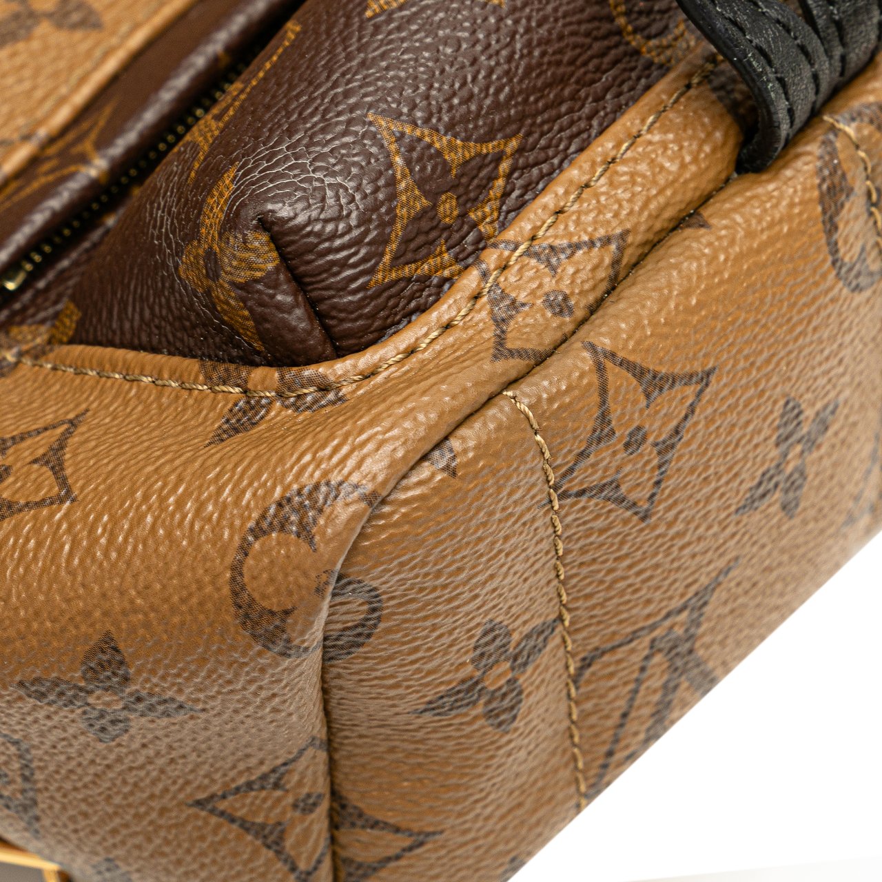 Louis Vuitton Monogram Reverse Mini Palm Springs Bruin