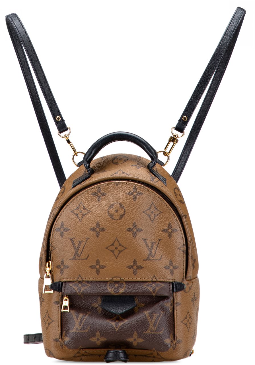 Louis Vuitton Monogram Reverse Mini Palm Springs Bruin