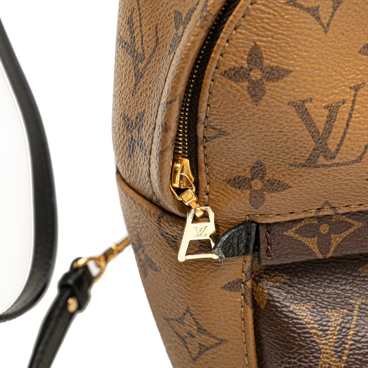 Louis Vuitton Monogram Reverse Mini Palm Springs Bruin