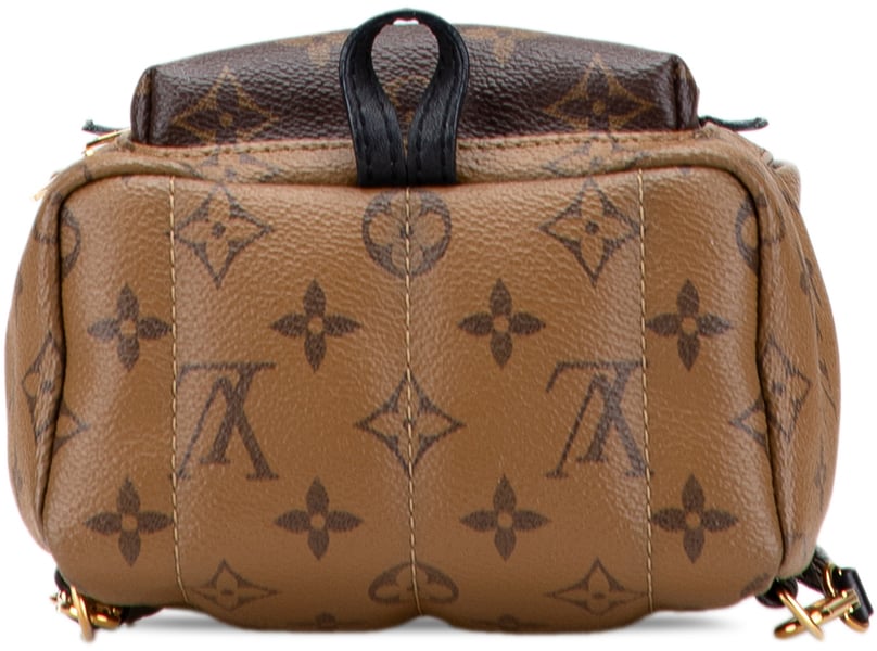 Louis Vuitton Monogram Reverse Mini Palm Springs Bruin