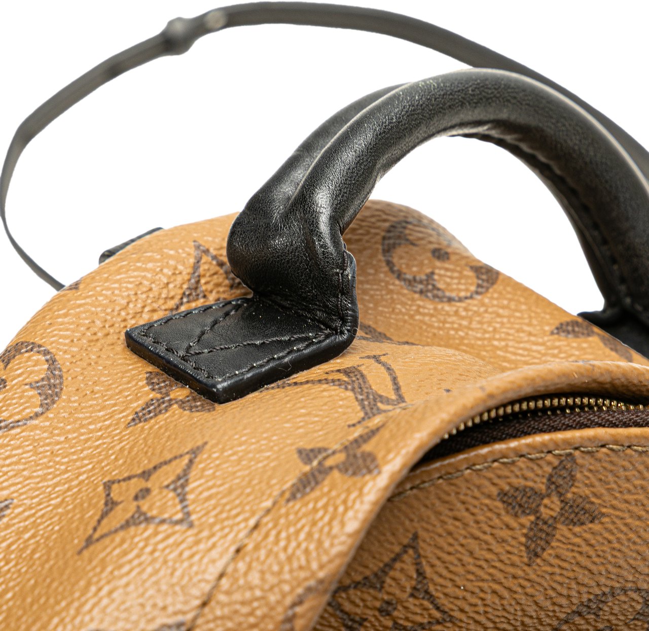Louis Vuitton Monogram Reverse Mini Palm Springs Bruin
