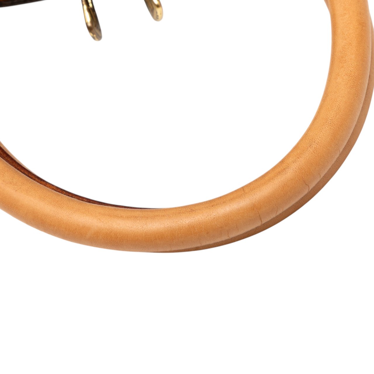 Louis Vuitton Monogram Ellipse PM Bruin