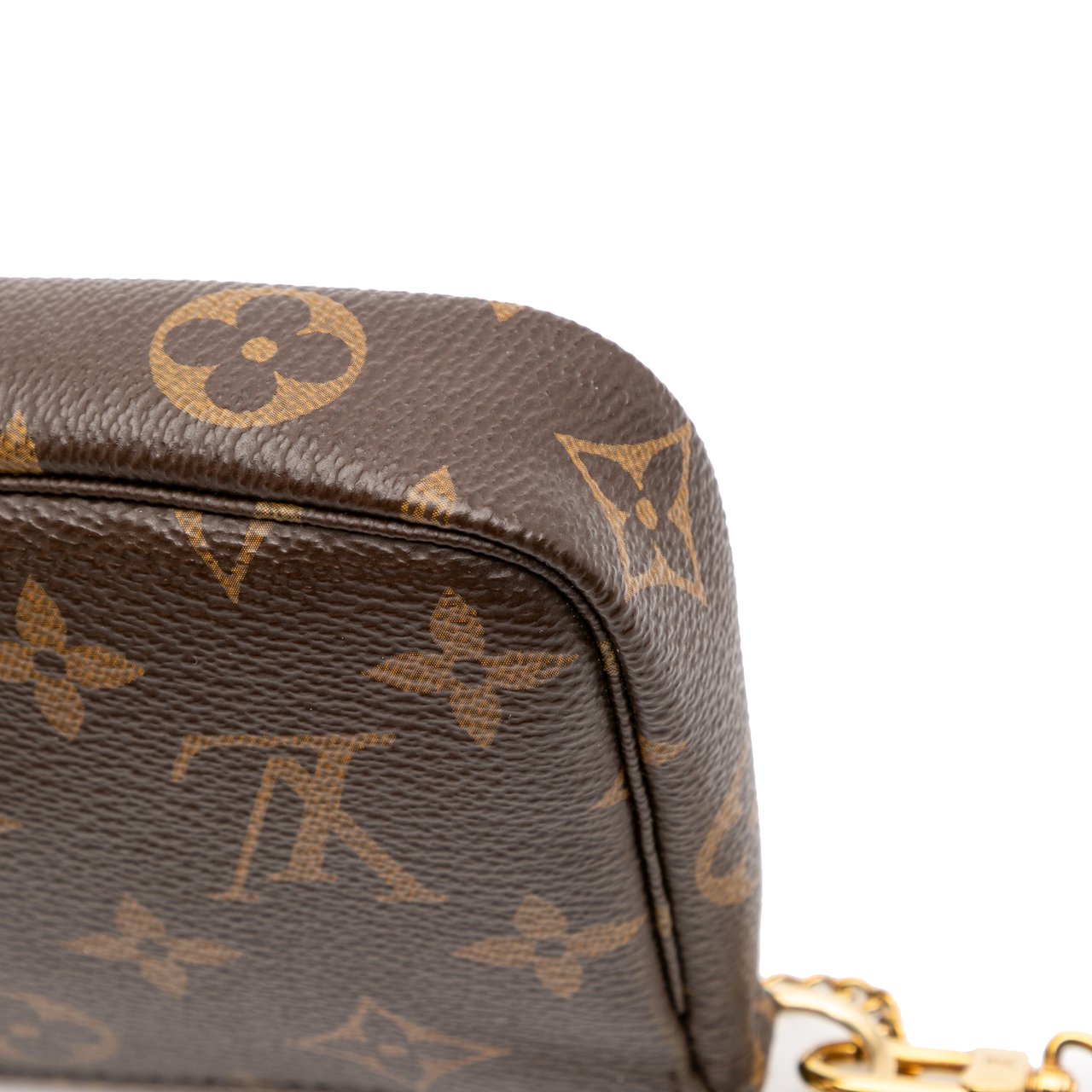 Louis Vuitton Monogram Mini Pochette Accessoires Bruin