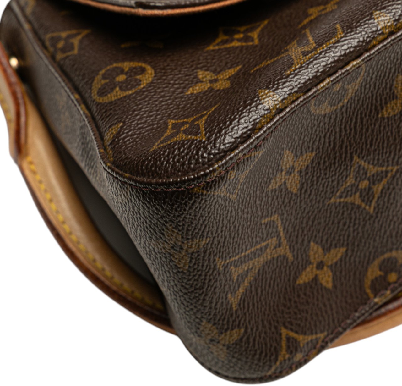 Louis Vuitton Monogram Mini Looping Bruin