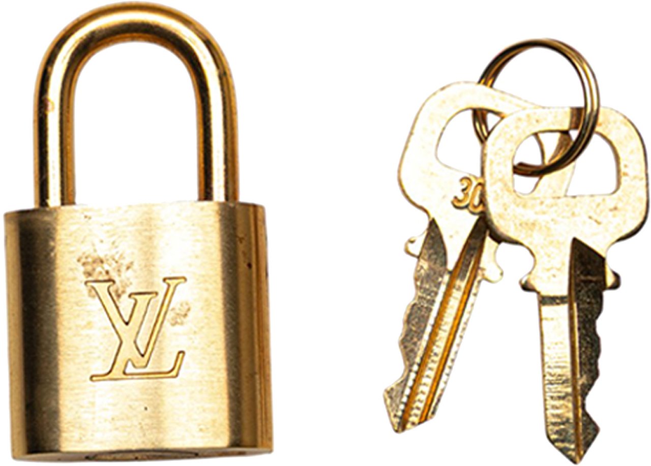 Louis Vuitton Epi Alma PM Bruin