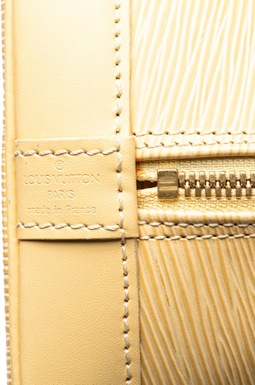 Louis Vuitton Epi Alma PM Bruin