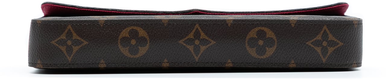 Louis Vuitton Monogram Pochette Felicie Bruin