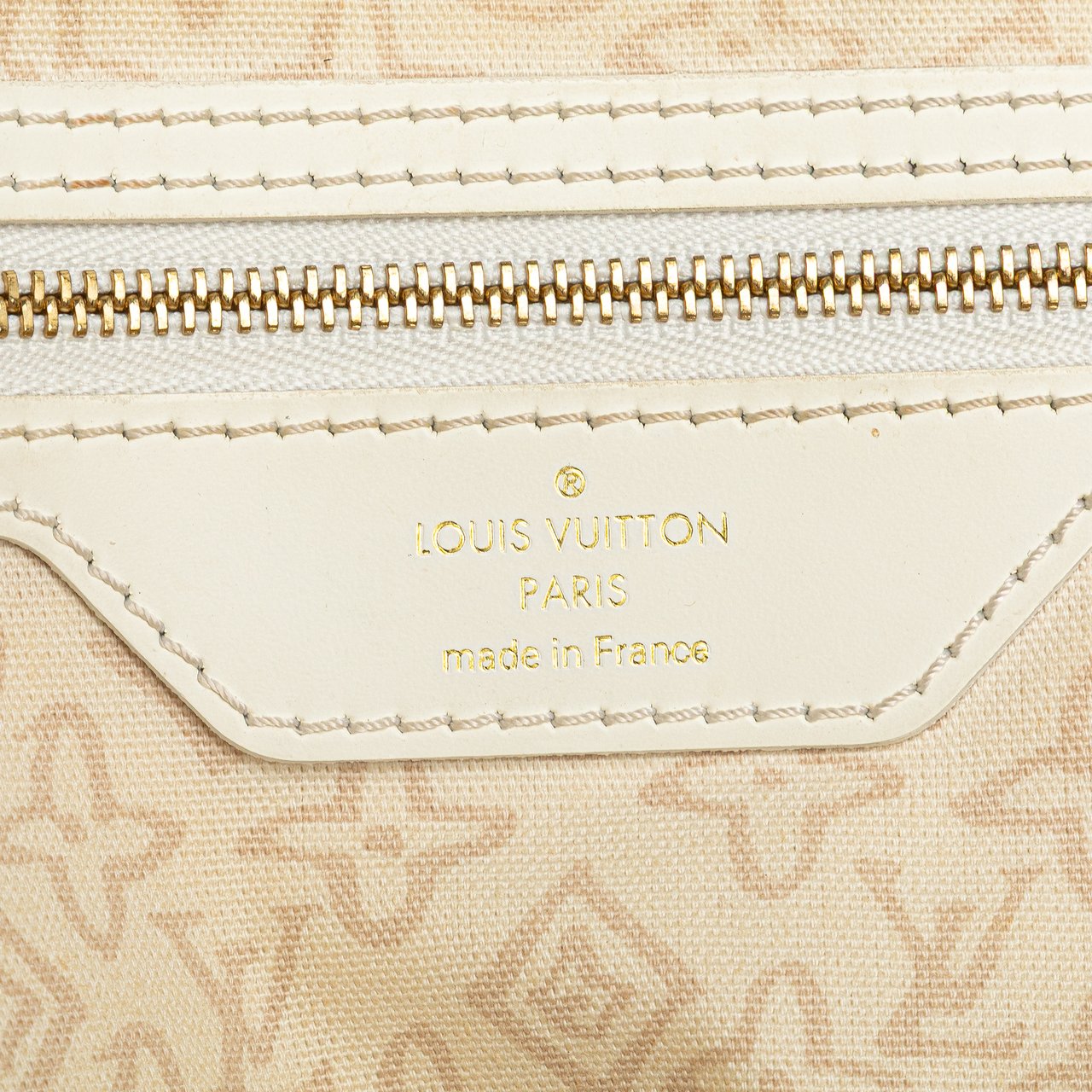 Louis Vuitton Monogram Tahitienne Cabas PM Bruin