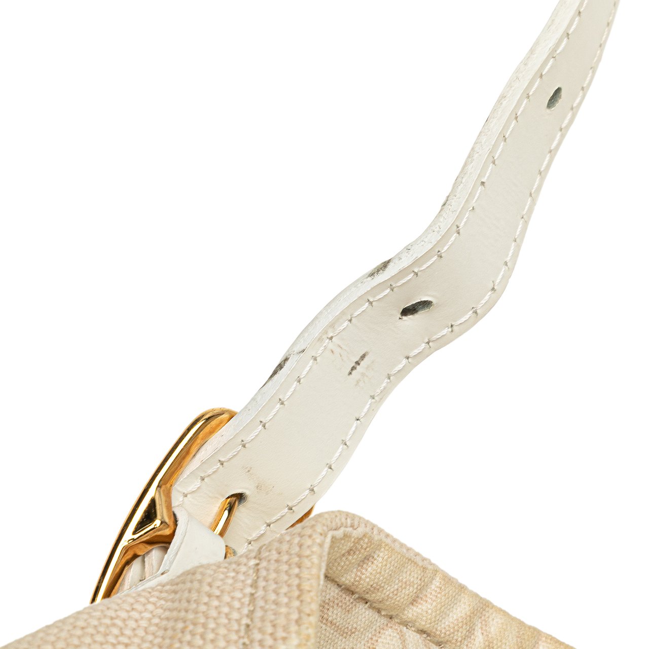 Louis Vuitton Monogram Tahitienne Cabas PM Bruin