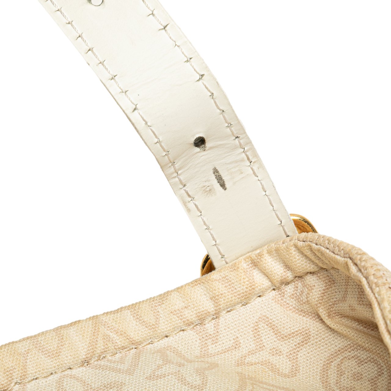Louis Vuitton Monogram Tahitienne Cabas PM Bruin