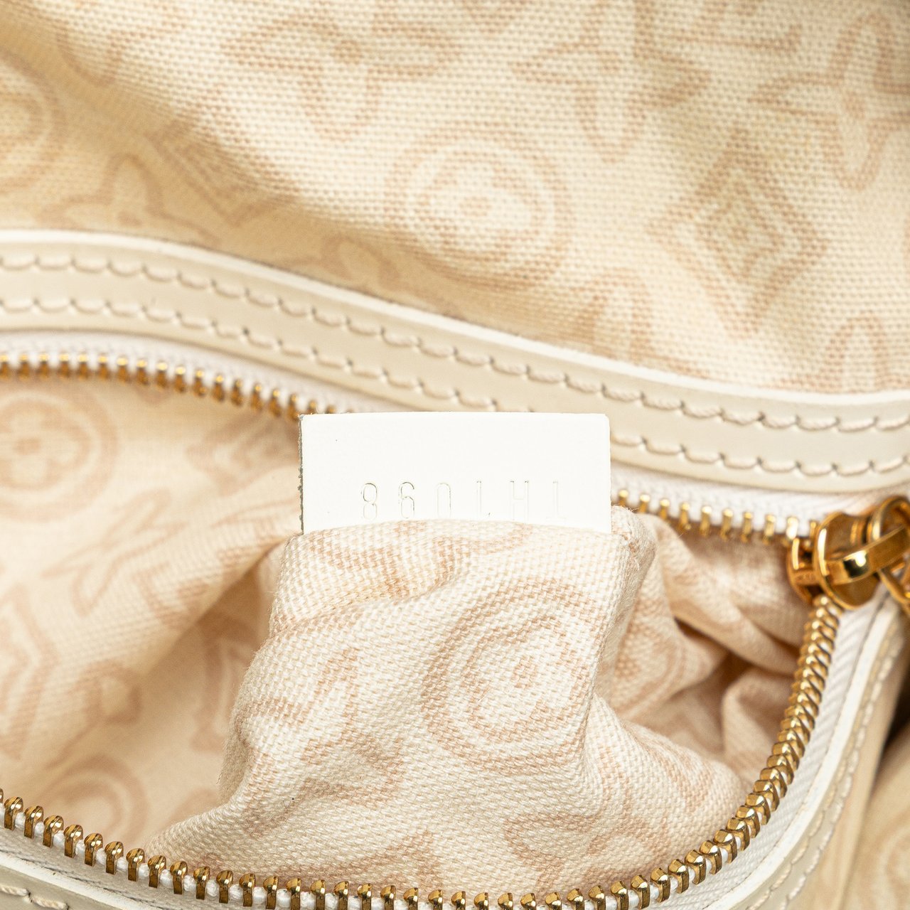 Louis Vuitton Monogram Tahitienne Cabas PM Bruin