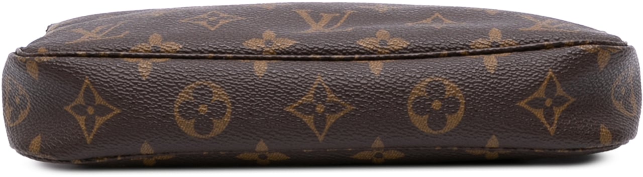 Louis Vuitton Monogram Pochette Accessoires Bruin