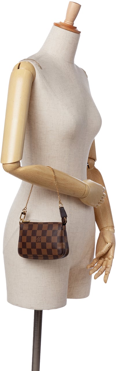 Louis Vuitton Damier Ebene Mini Pochette Accessoires Bruin