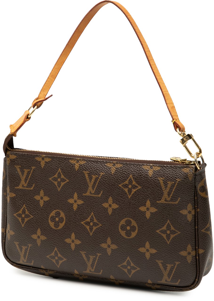 Louis Vuitton Monogram Pochette Accessoires Bruin
