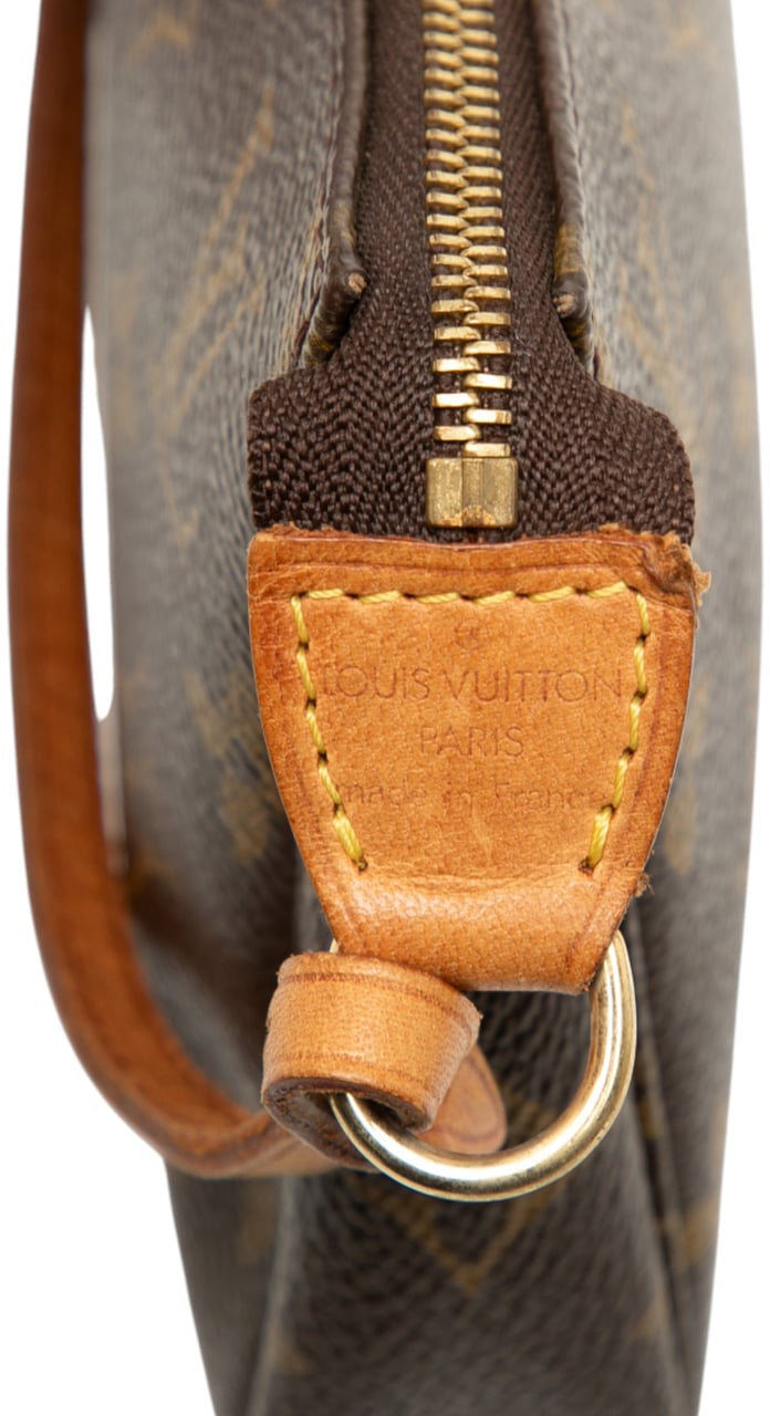 Louis Vuitton Monogram Pochette Accessoires Bruin