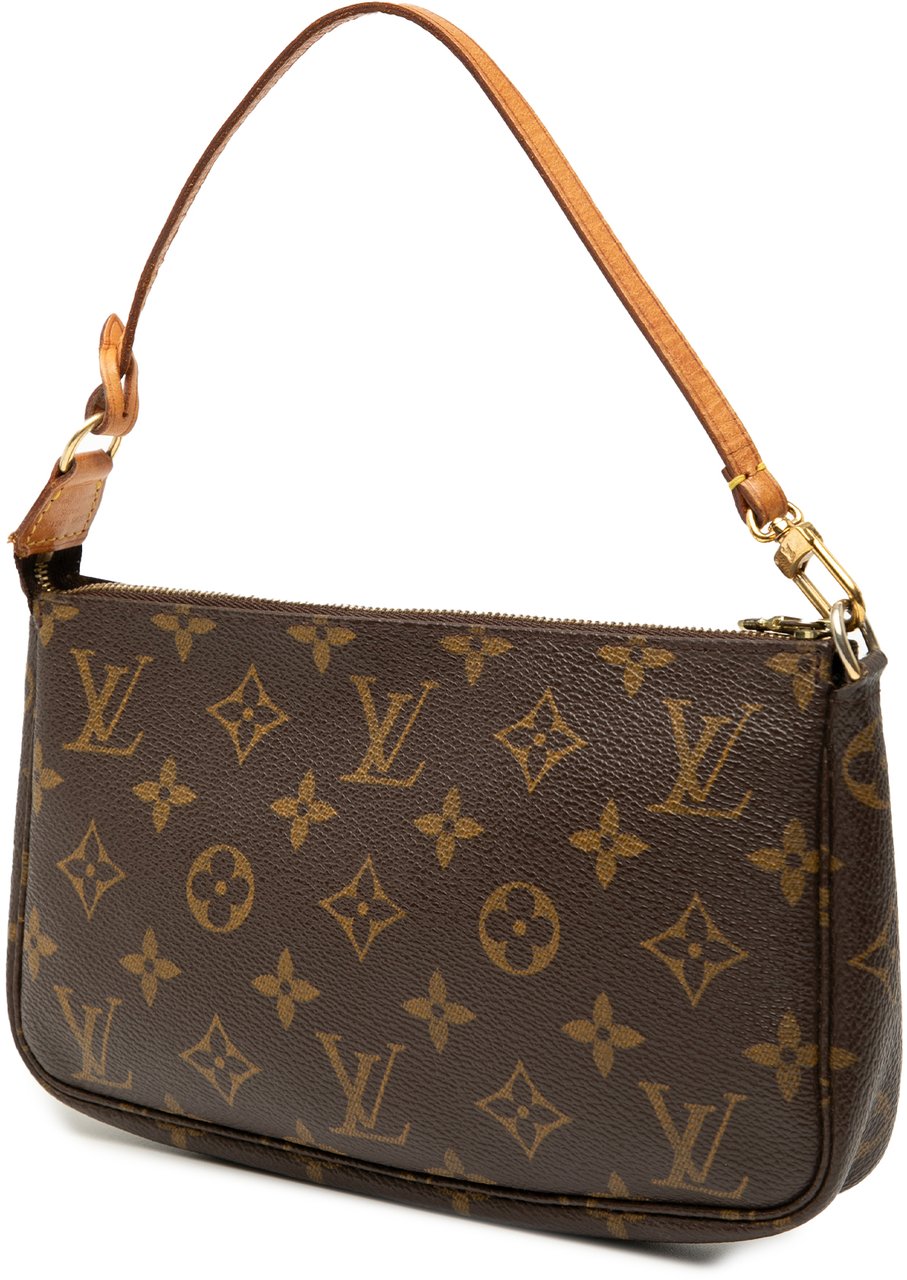 Louis Vuitton Monogram Pochette Accessoires Bruin