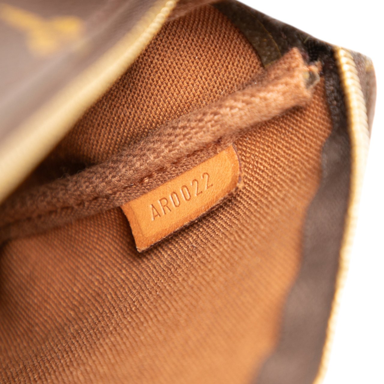 Louis Vuitton Monogram Pochette Accessoires Bruin