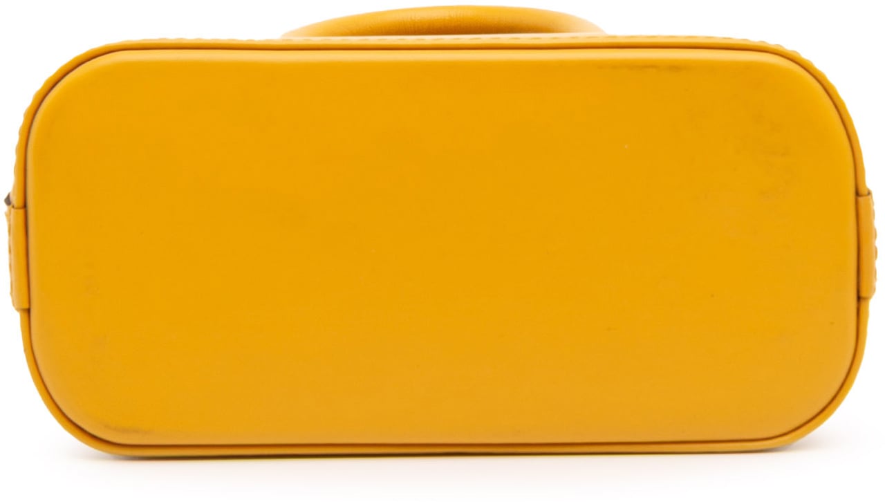 Louis Vuitton Epi Nano Alma Geel