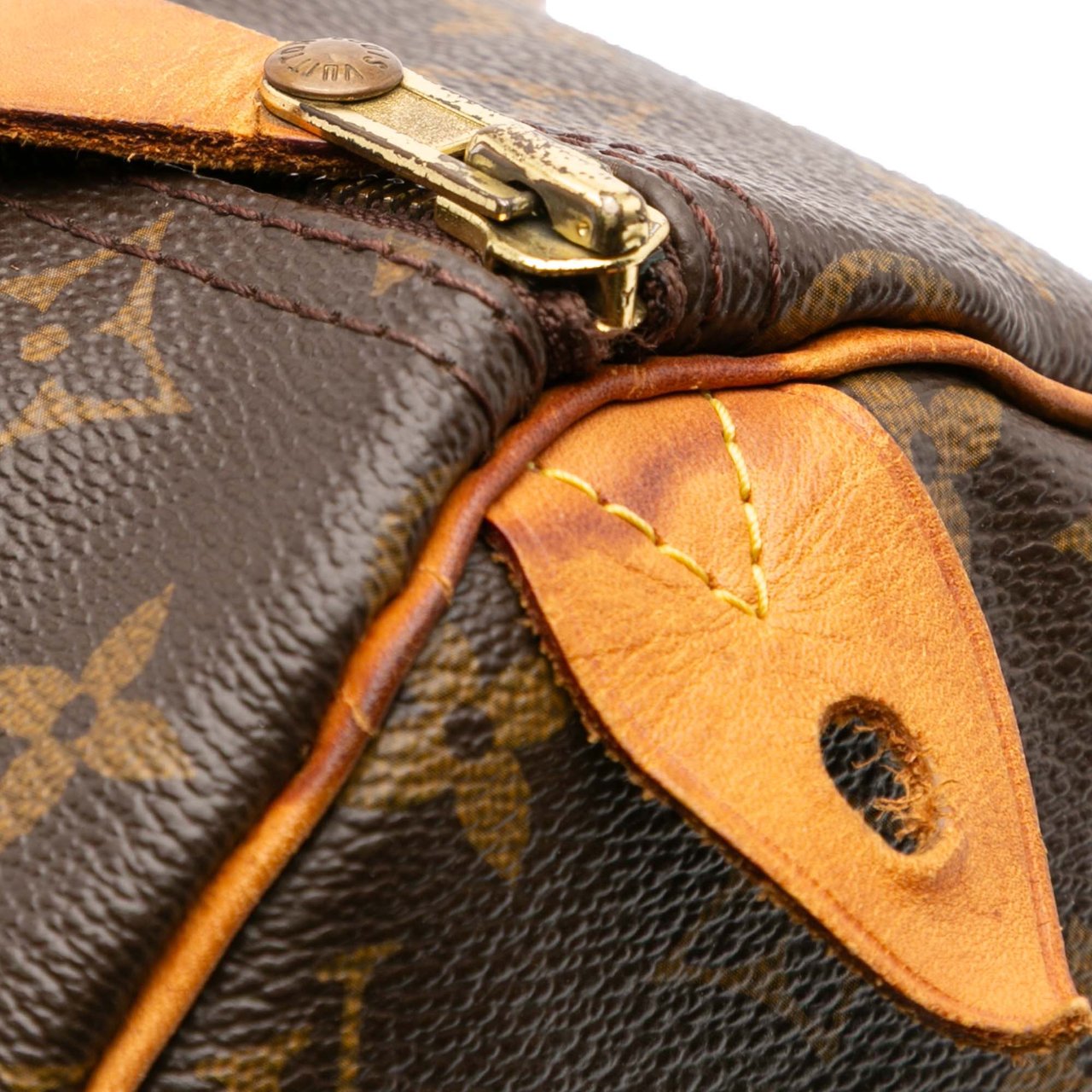 Louis Vuitton Monogram Speedy 30 Bruin