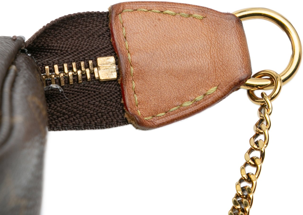 Louis Vuitton Monogram Mini Pochette Accessoires Bruin