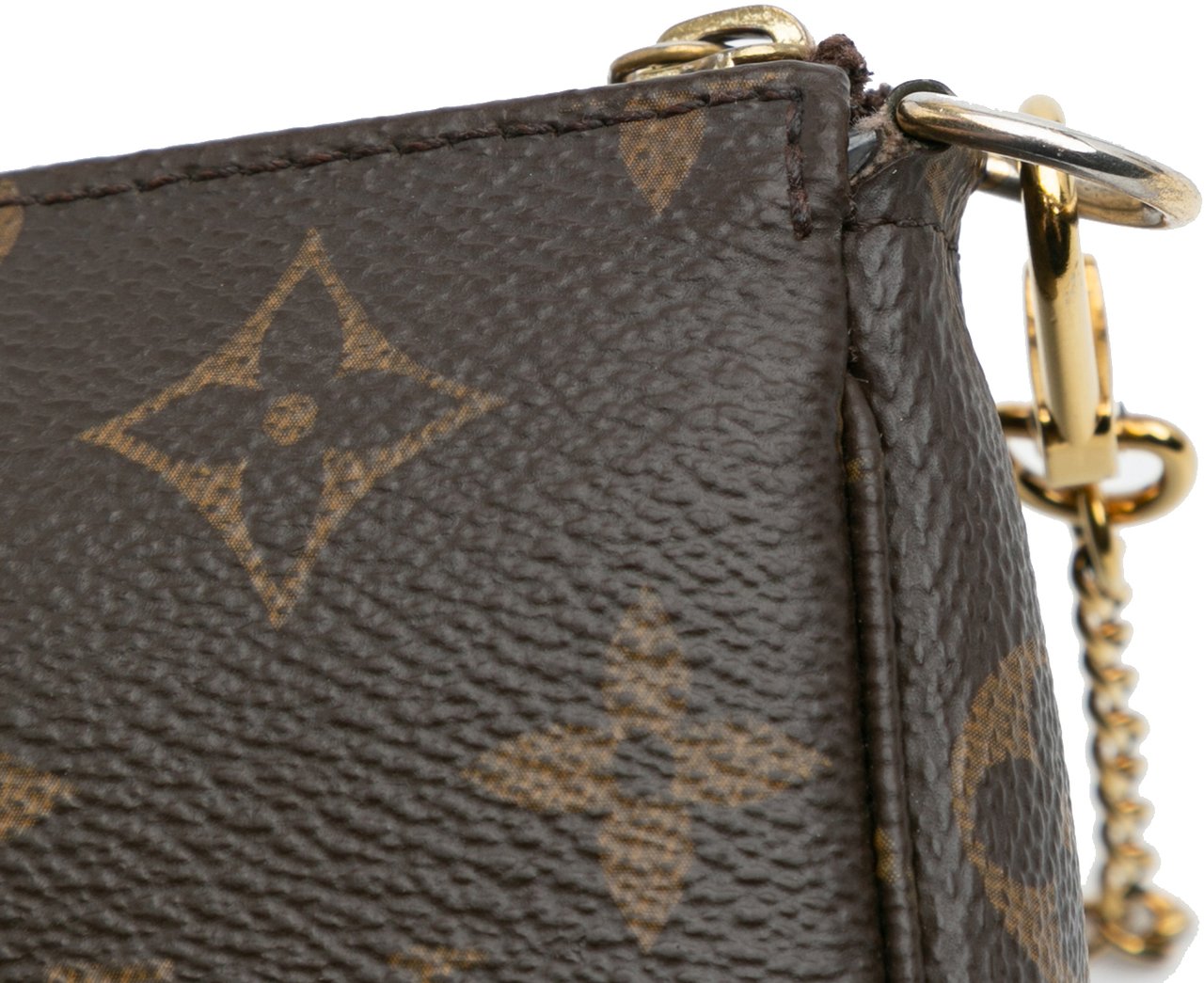 Louis Vuitton Monogram Mini Pochette Accessoires Bruin