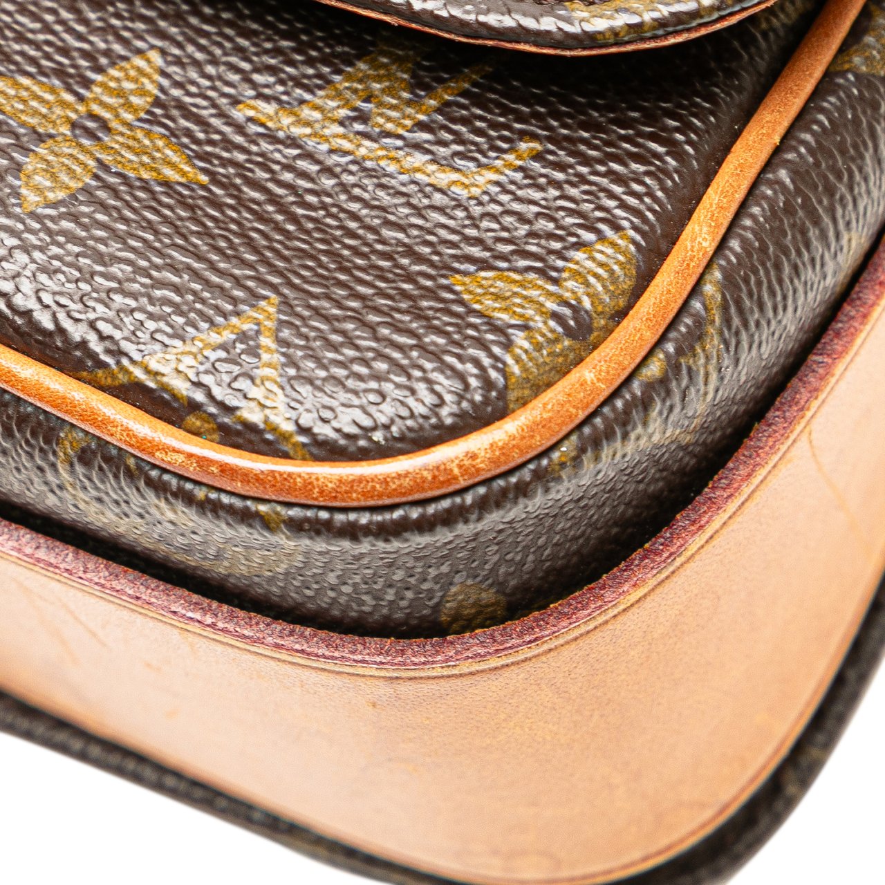 Louis Vuitton Monogram Cartouchiere MM Bruin