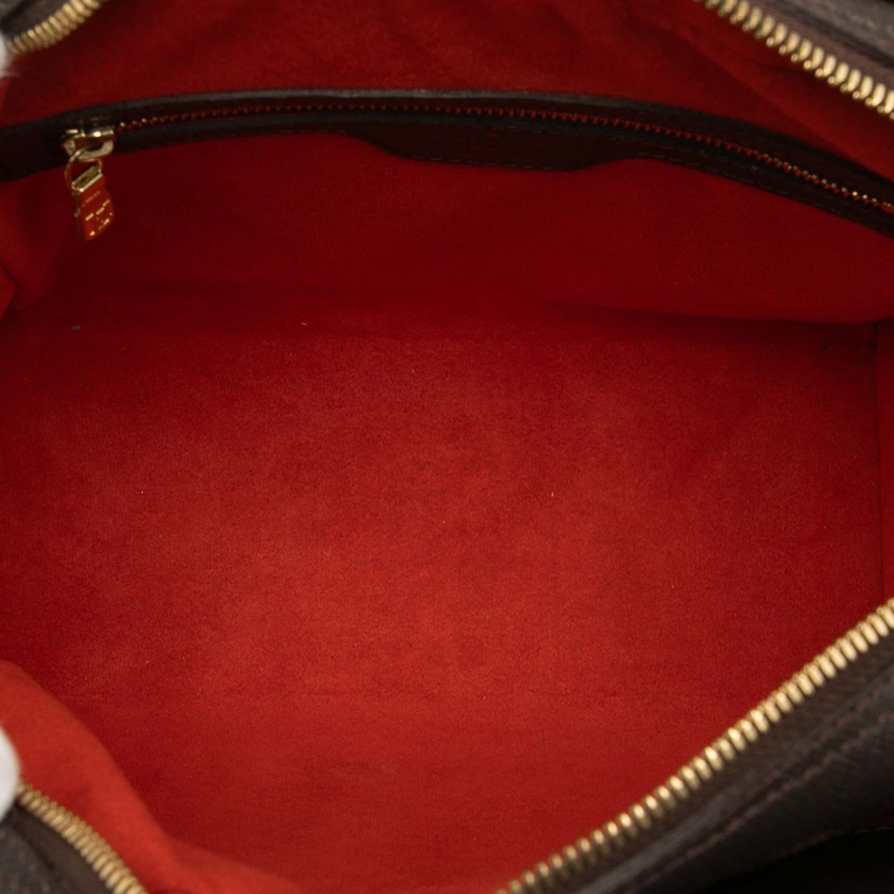 Louis Vuitton Damier Ebene Triana Bruin