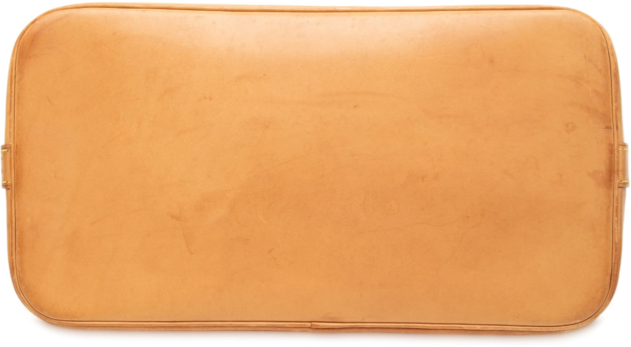 Louis Vuitton Monogram Alma PM Bruin