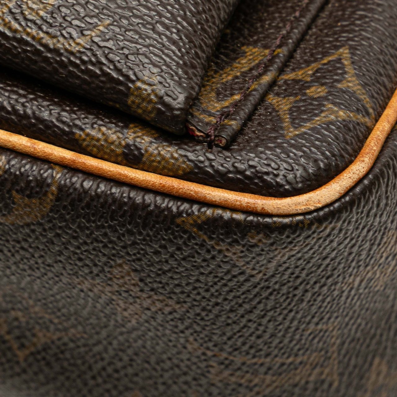 Louis Vuitton Monogram Viva Cite PM Bruin