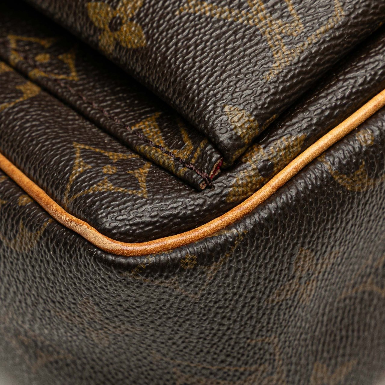 Louis Vuitton Monogram Viva Cite PM Bruin