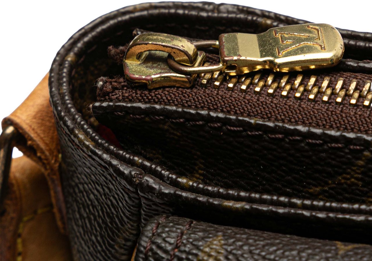 Louis Vuitton Monogram Viva Cite PM Bruin