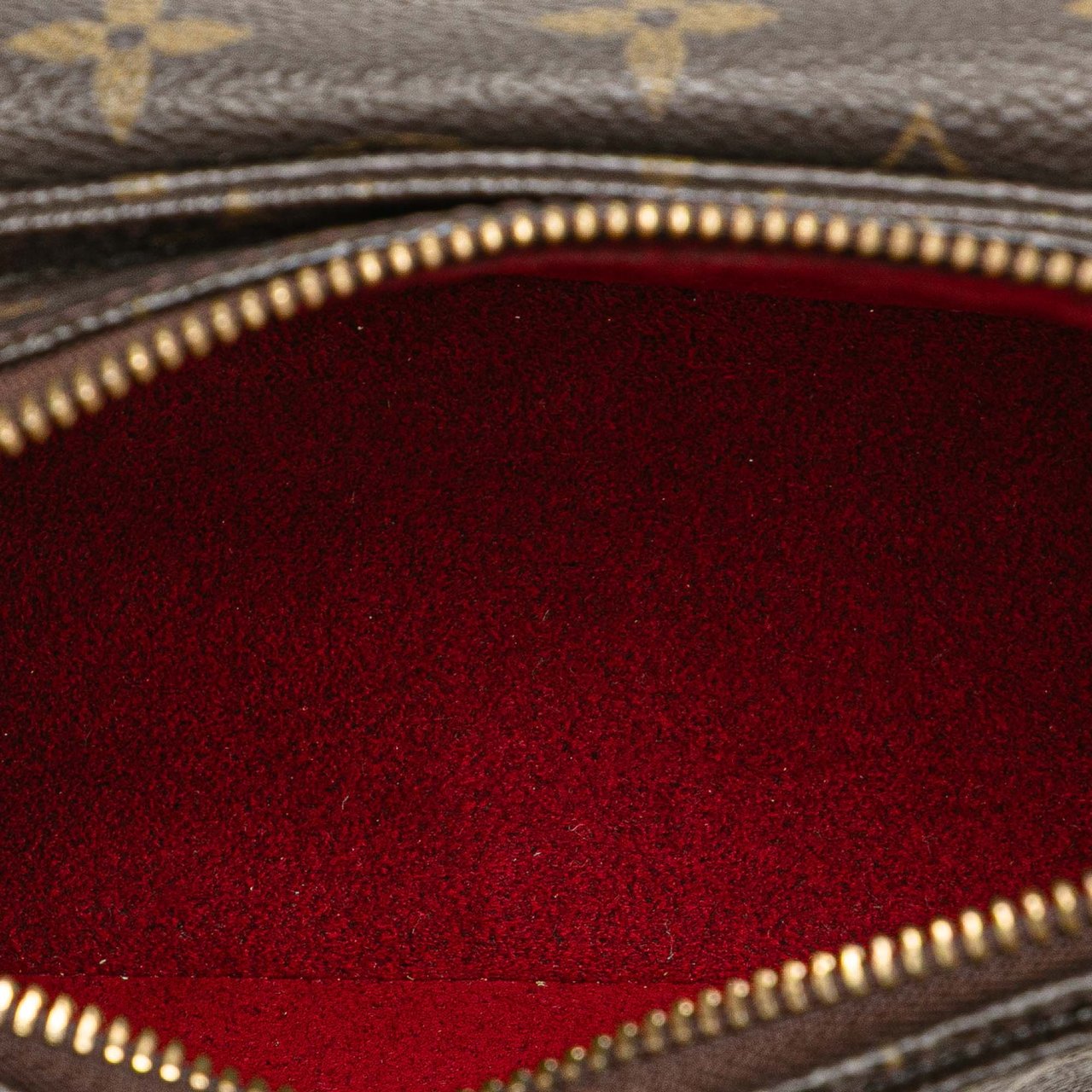 Louis Vuitton Monogram Viva Cite PM Bruin
