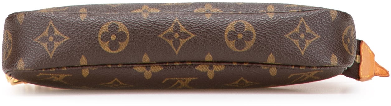 Louis Vuitton Monogram Pochette Accessoires Bruin