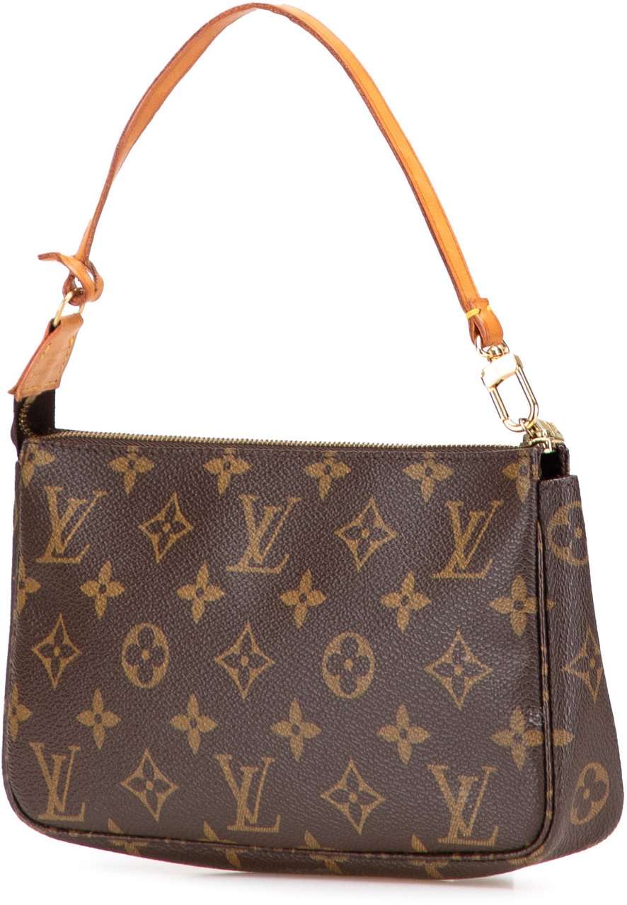 Louis Vuitton Monogram Pochette Accessoires Bruin
