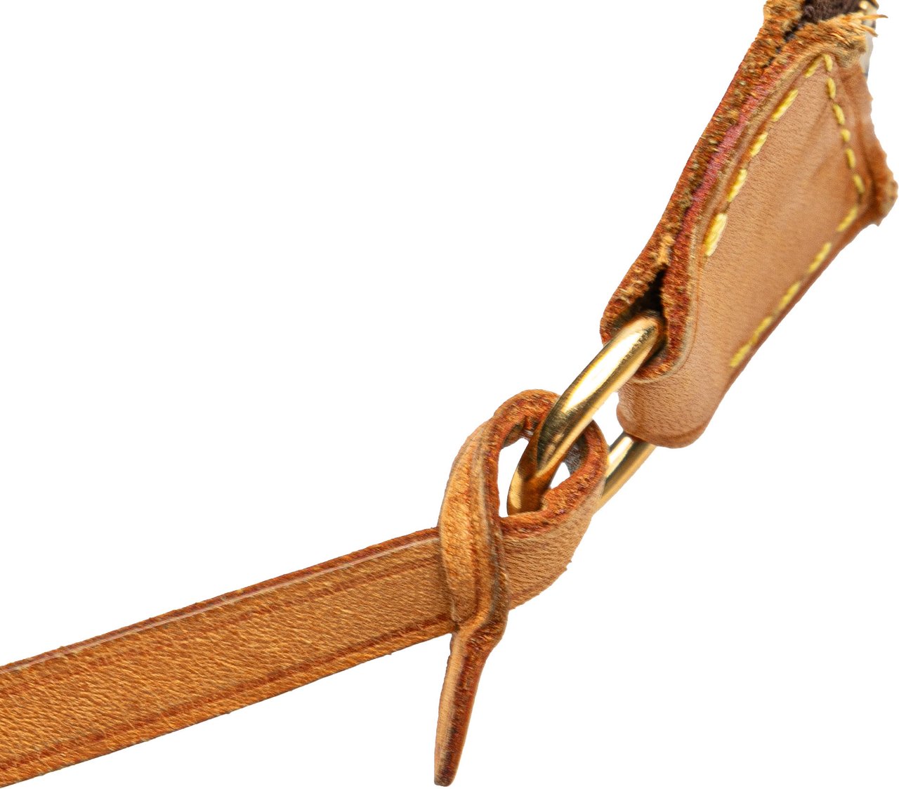 Louis Vuitton Monogram Pochette Accessoires Bruin