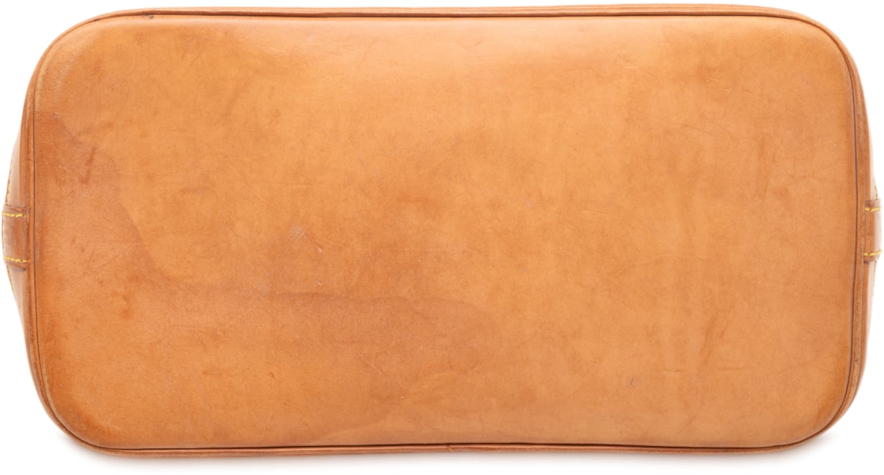 Louis Vuitton Monogram Alma PM Bruin