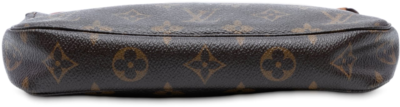 Louis Vuitton Monogram Pochette Accessoires Bruin