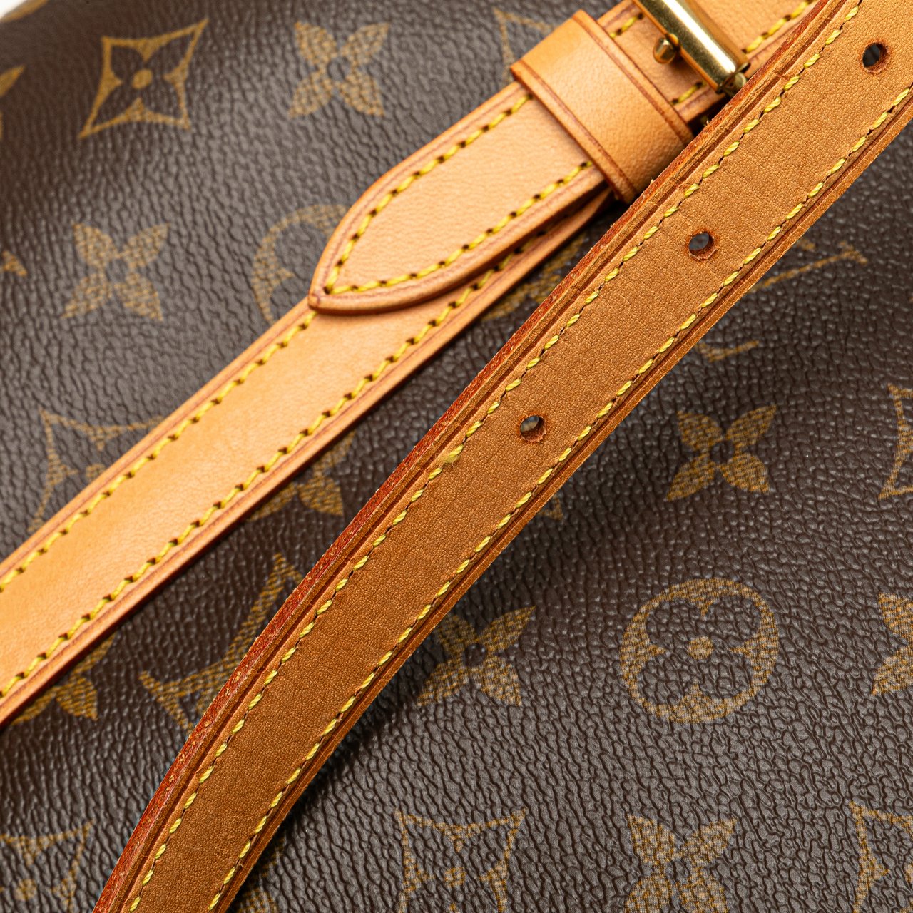 Louis Vuitton Monogram Bucket GM Bruin