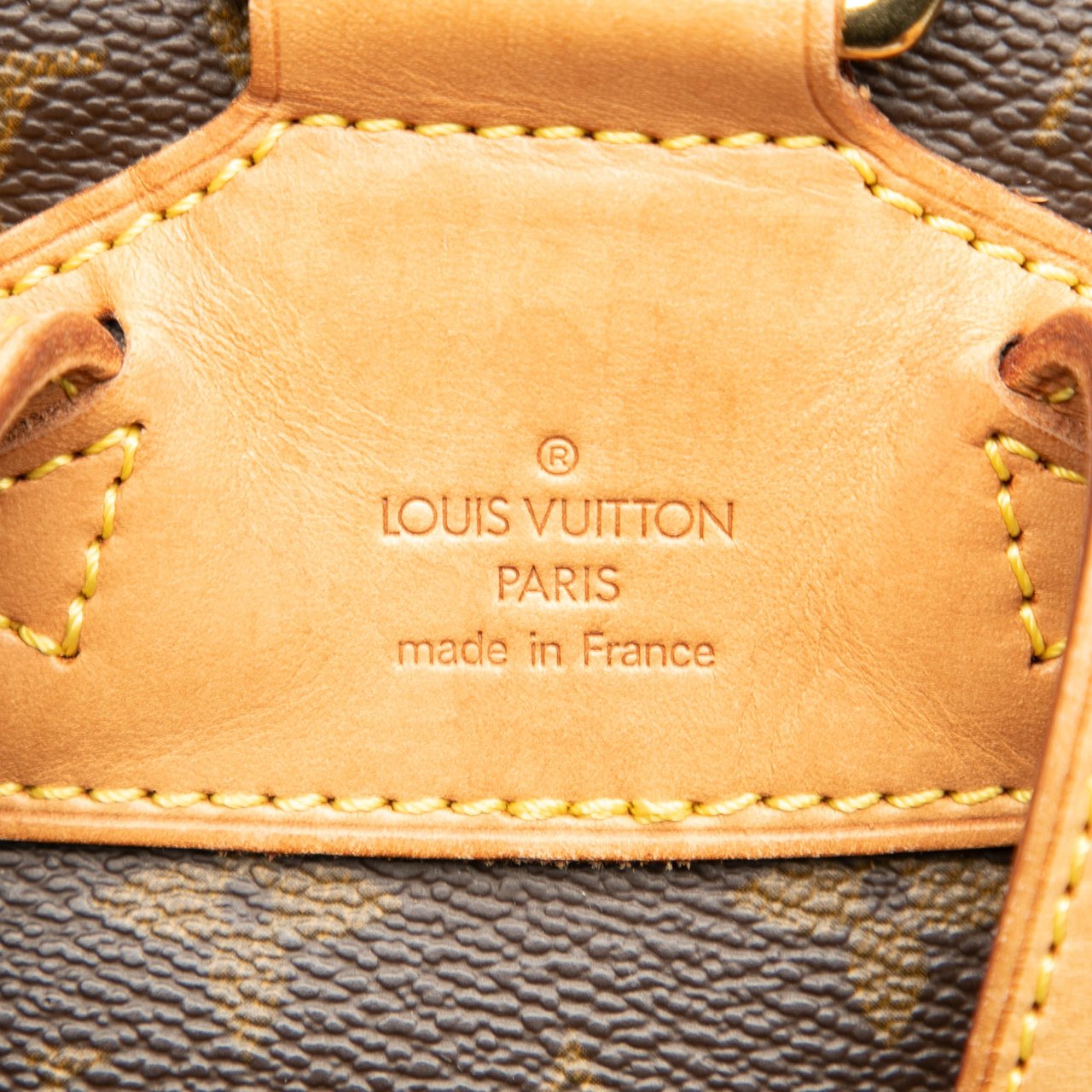 Louis Vuitton Monogram Montsouris MM Bruin