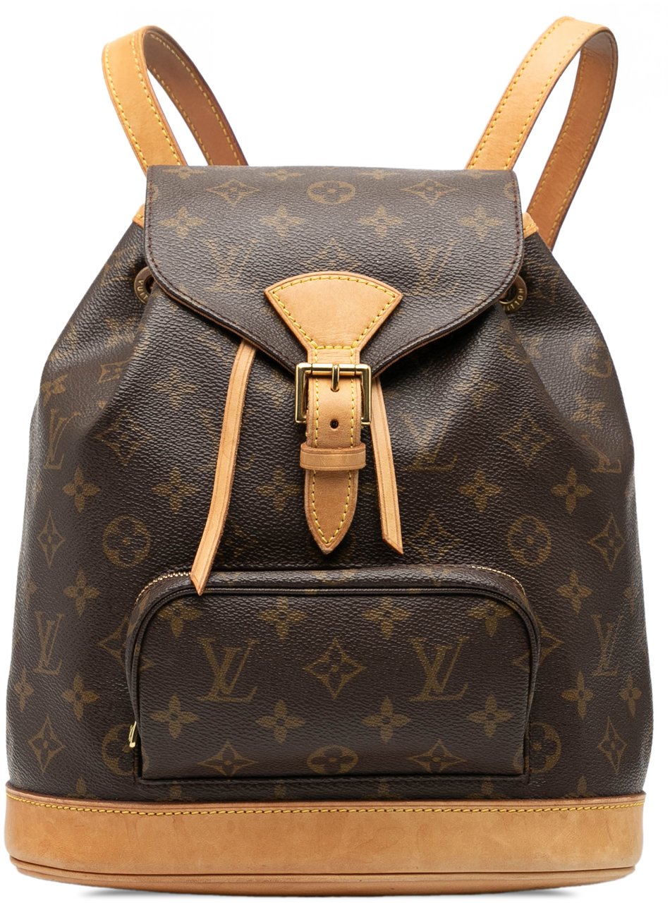 Louis Vuitton Monogram Montsouris MM Bruin