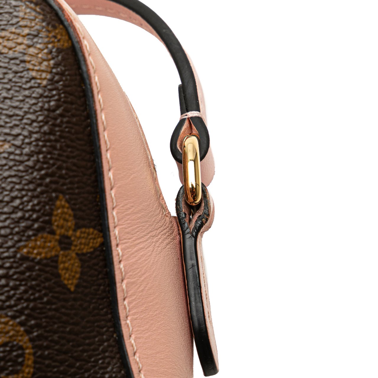 Louis Vuitton Monogram Saintonge Bruin