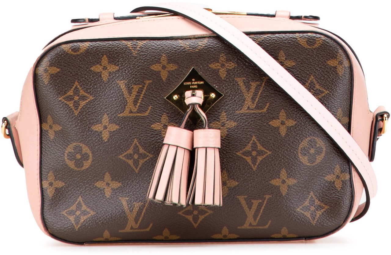 Louis Vuitton Monogram Saintonge Bruin