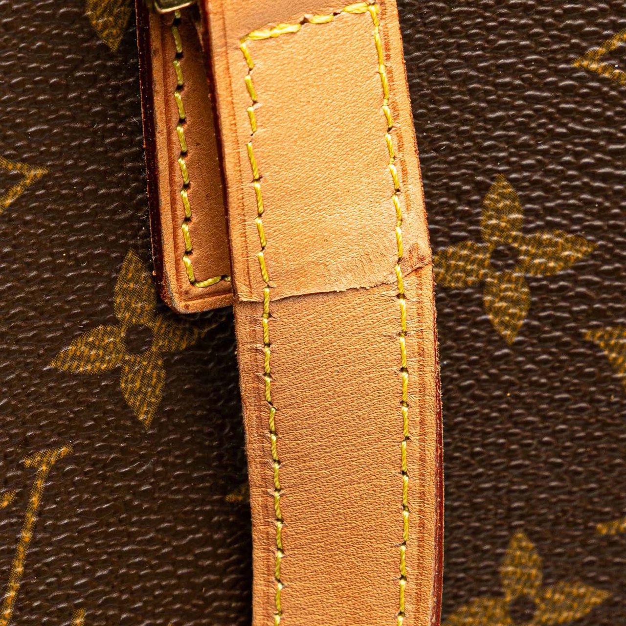 Louis Vuitton Monogram Luco Bruin